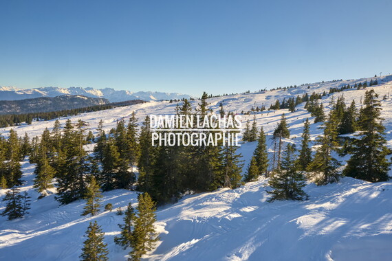 vacance montagne aillon-le-jeune station 003
