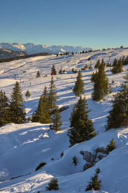 vacance montagne aillon-le-jeune station 004