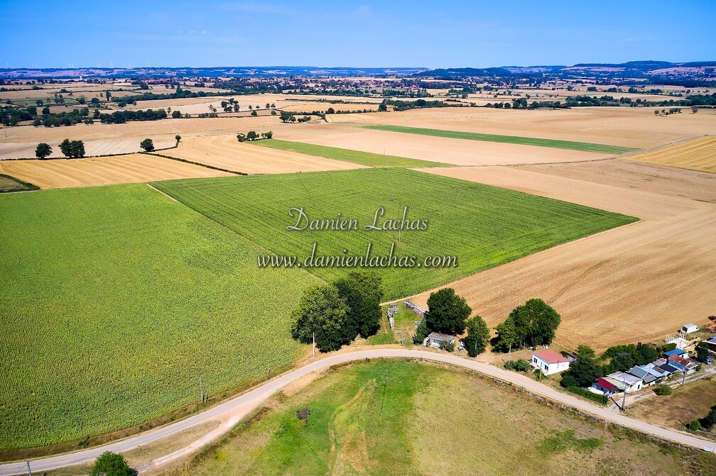paysage_campagne_agriculture_bourgogne_2020_012.jpg