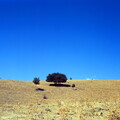 corse pietralba paysages 012 e6