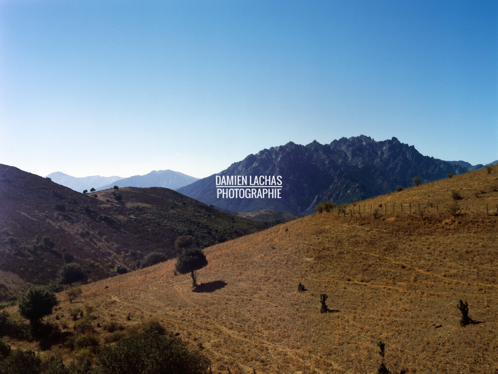 La campagne de Pietralba en Corse. corse_pietralba_paysages_015_e6.jpg