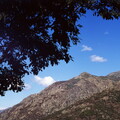 corse pietralba paysages 019 e6