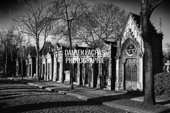 paris mars2019 pere lachaise 001