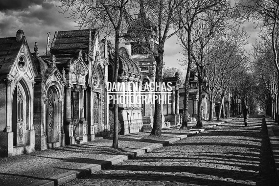 paris mars2019 pere lachaise 002