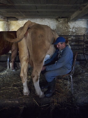 vacances 2015 lozere ferme animaux 007