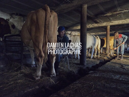 vacances 2015 lozere ferme animaux 008