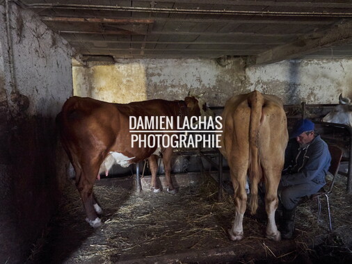 vacances 2015 lozere ferme animaux 010