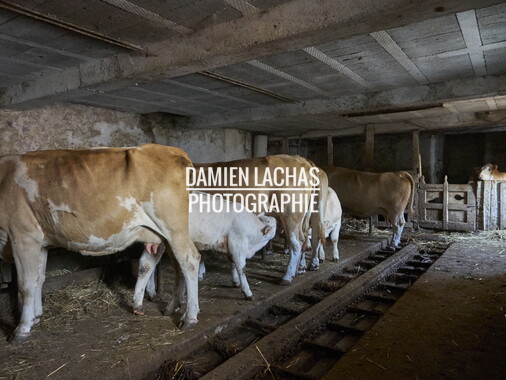 vacances 2015 lozere ferme animaux 014