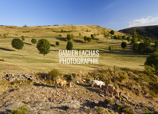 vacances 2015 lozere ferme animaux 020