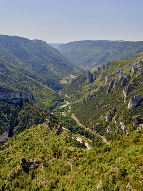 vacances 2015 lozere gorges tarn 002