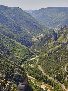 vacances 2015 lozere gorges tarn 006