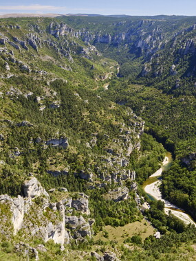 vacances 2015 lozere gorges tarn 013