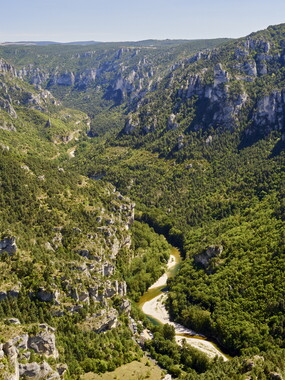 vacances 2015 lozere gorges tarn 016