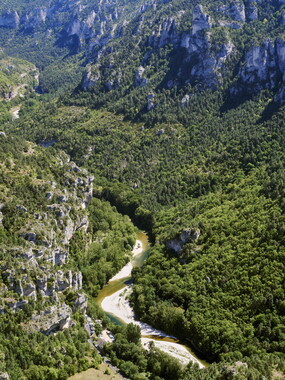vacances 2015 lozere gorges tarn 017