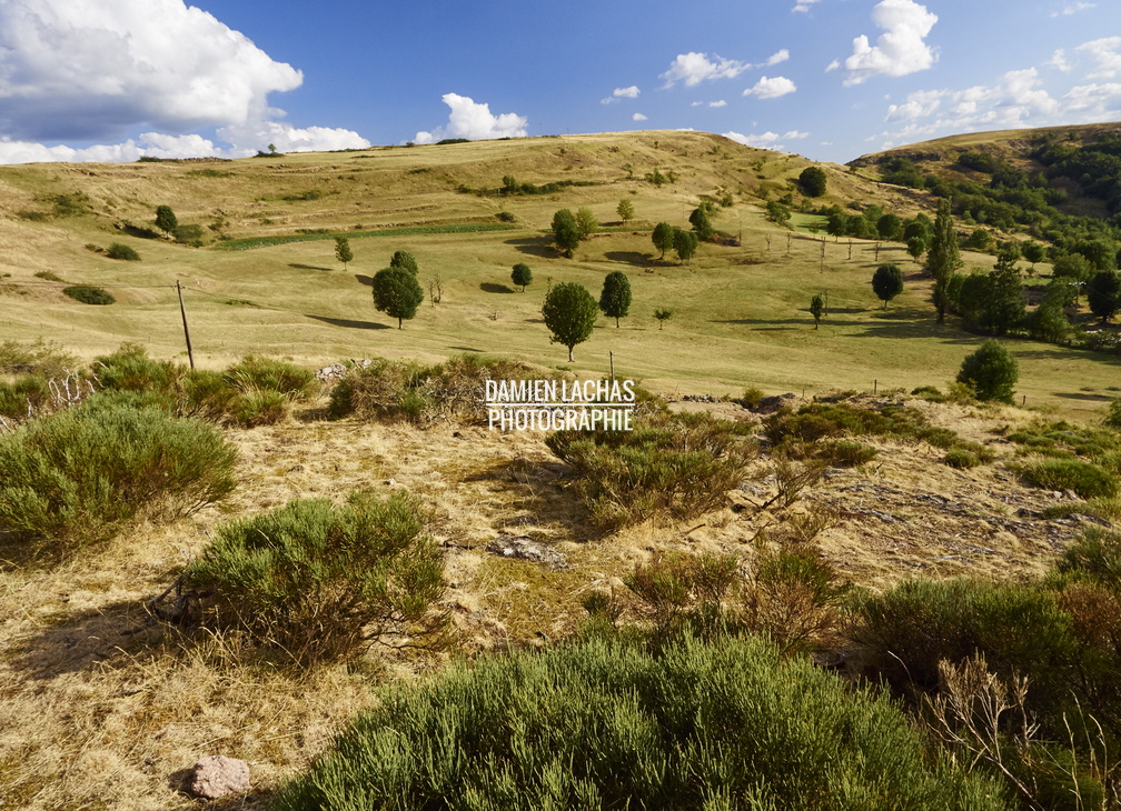 vacances_2015_lozere_le-villaret_007.jpg