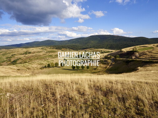 vacances 2015 lozere le-villaret 018