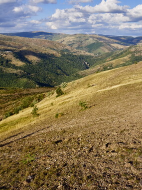 vacances 2015 lozere le-villaret 020