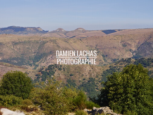 vacances 2015 lozere le-villaret 028