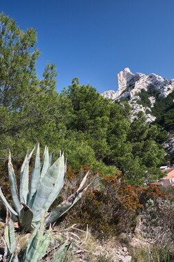marseille vacance fev2019 calanques 002