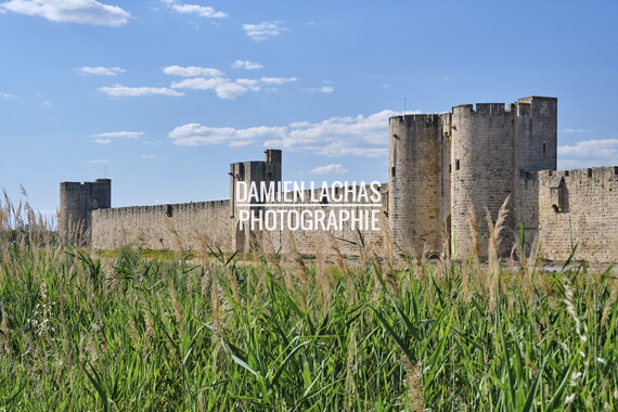 vnf dtrs crs aigues-mortes rempart 001