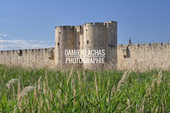 vnf dtrs crs aigues-mortes rempart 002