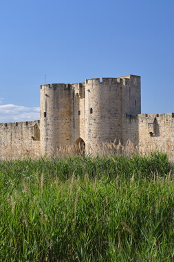 vnf dtrs crs aigues-mortes rempart 003