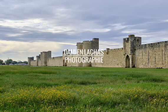 vnf dtrs crs aigues-mortes rempart 006