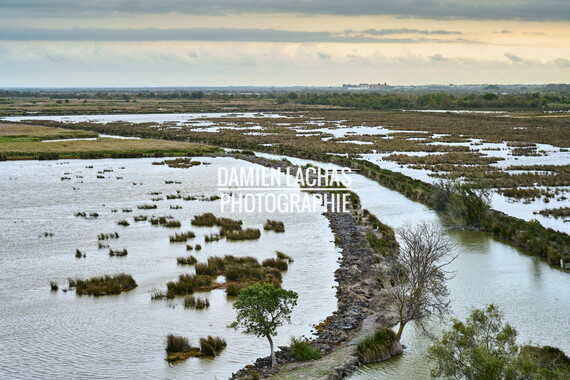 vnf dtrs crs tourisme tour carboniere 008