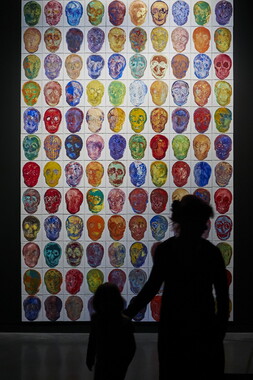 musee confluence mars2015 salle 1 005