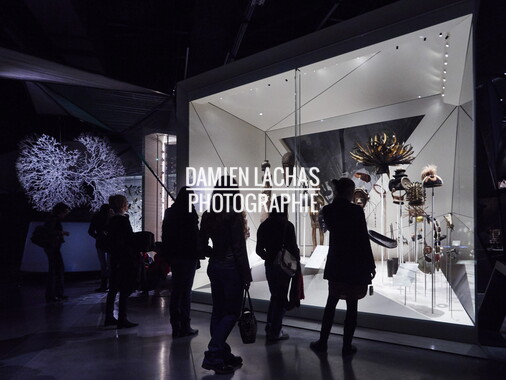 musee confluence mars2015 salle 3 011