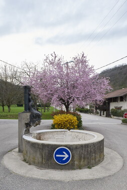 patrimoine public tullins fontaine paradis 001