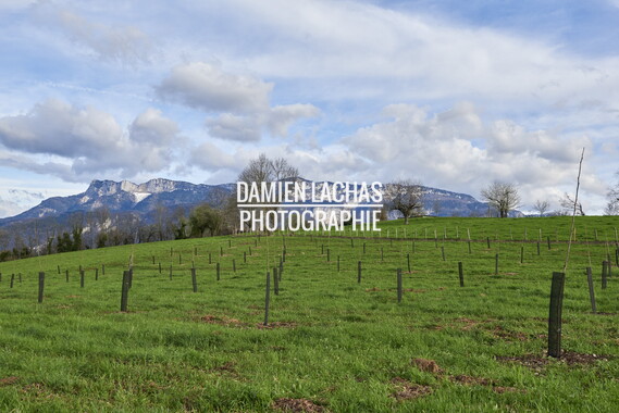 patrimoine rural tullins noyeraies 013