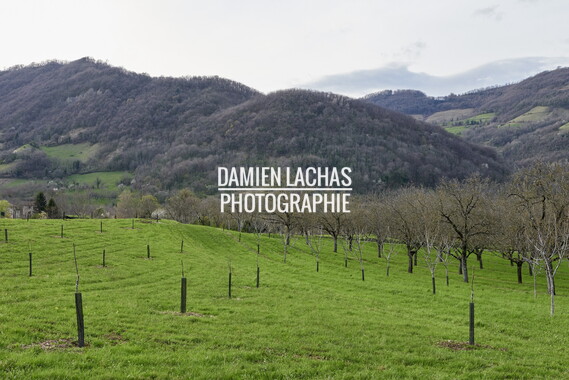 patrimoine rural tullins noyeraies 014