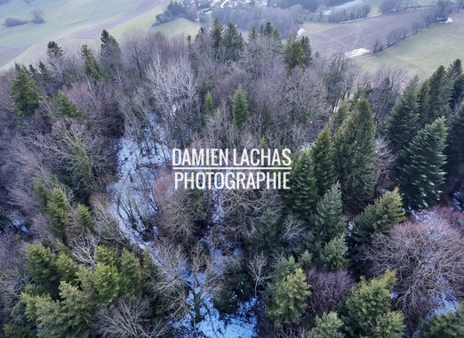 pays voironnais aerien st-julien-ratz chateau 005