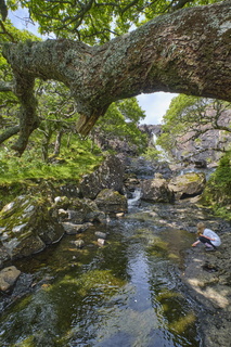 ecosse ile-mull cascade 011