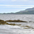 ecosse ile-mull loutre 002