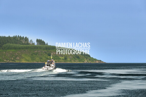 ecosse ile-mull navigation 021