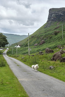 ecosse ile-mull paysage 006