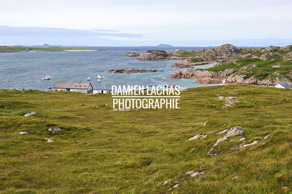 ecosse ile-mull paysage 014