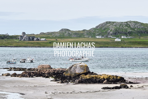 ecosse ile-mull paysage 018