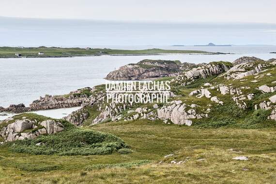 ecosse ile-mull paysage 019