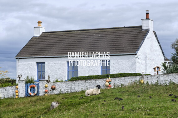ecosse ile-mull paysage 023