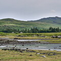 ecosse ile-mull salen 001