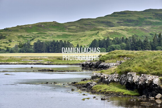 ecosse ile-mull salen 004