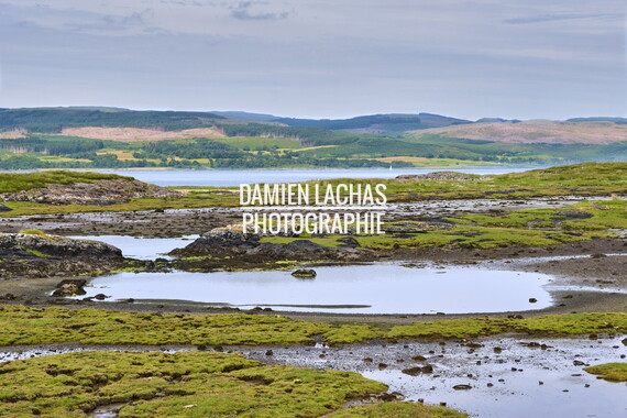 ecosse ile-mull salen 005