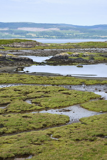 ecosse ile-mull salen 006