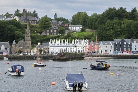 ecosse ile-mull tobermory 008