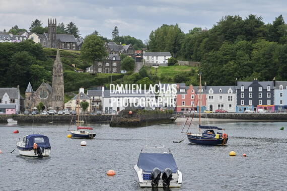 ecosse ile-mull tobermory 008