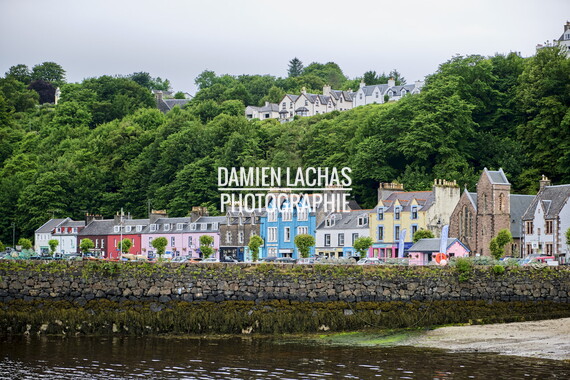 ecosse ile-mull tobermory 011