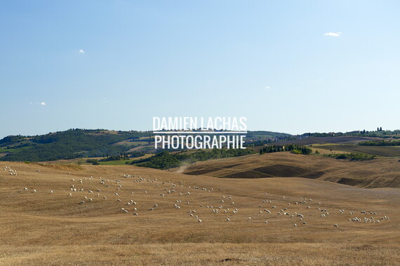 italie toscane campagne 005